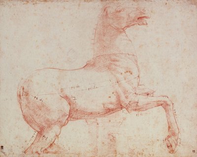 Estudio para el Caballo de Mármol del Quirinal de Raffaello Sanzio Raphael