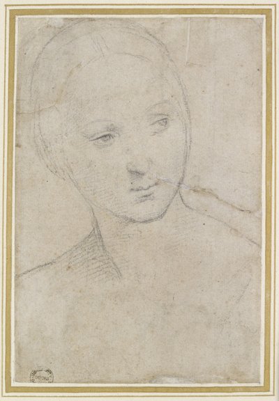 Estudio de la cabeza de una joven mujer de Raffaello Sanzio Raphael