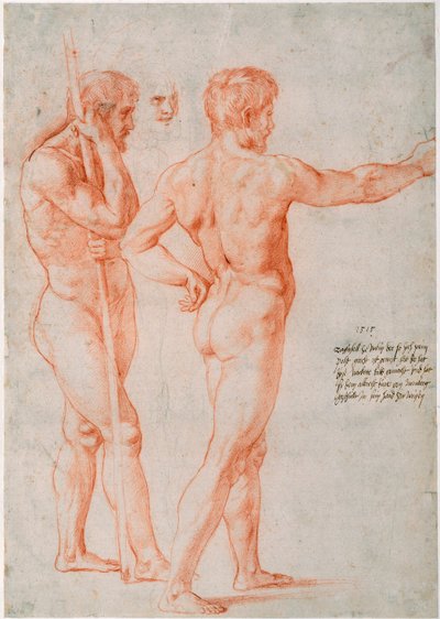 Dos estudios de desnudos, 1515 de Raffaello Sanzio Raphael