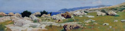 Castiglioncello desde Punta del Bocca, c.1864 (óleo sobre lienzo) de Raffaello Sernesi