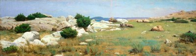Acantilado en Castiglioncello de Raffaello Sernesi