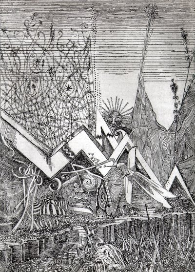 Colibrì de Raimondo Gambino