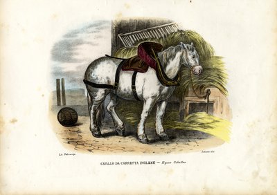Caballo de granja inglés, 1863-79 de Raimundo Petraroja