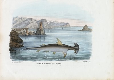 Martillo, 1863-79 de Raimundo Petraroja