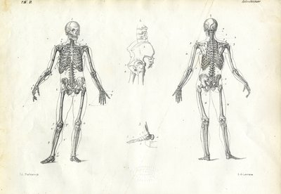 Ser Humano, 1863-79 de Raimundo Petraroja