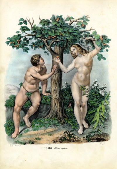 Razas humanas, 1863-79 de Raimundo Petraroja