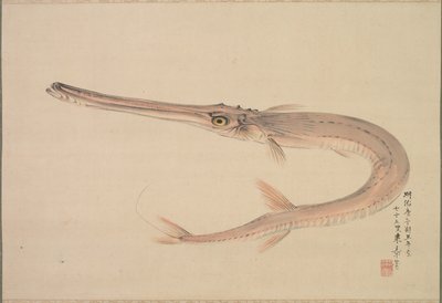Pez aguja Yagara, 1870 de Raisho Nakajima