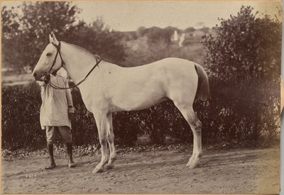  de Raja Deen Dayal