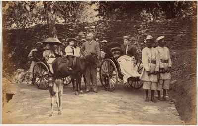 Coronel F. G. Oldham, Shimla de Raja Deen Dayal