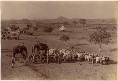 Batería de campaña pesada, Jhansi de Raja Deen Dayal