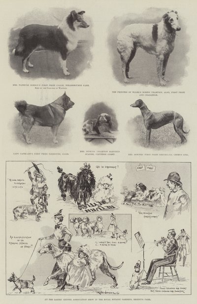 En la Exposición de la Asociación de Perros de Damas en los Jardines Botánicos Reales, Regent