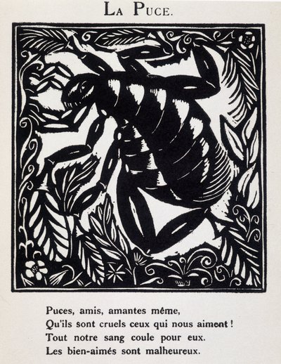 La puce - en "Le Bestiaire ou cortege d