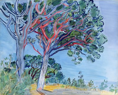El pino rojo de Raoul Dufy