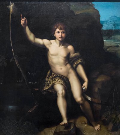 San Juan Bautista de Raphael (1483 1520) (& studio)