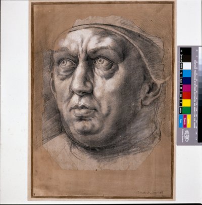 Papa León X (tiza negra sobre papel) de Raphael (1483 1520)