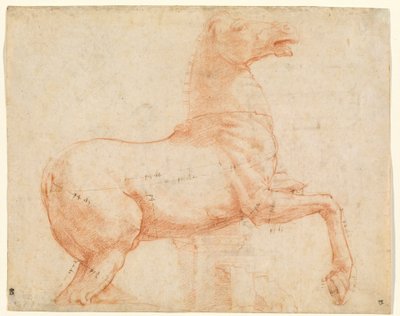 Un caballo de mármol en la colina del Quirinal (recto), c.1513 ( tiza roja, pluma, tinta marrón, punta de plomo y estilete) de Raphael (1483 1520)