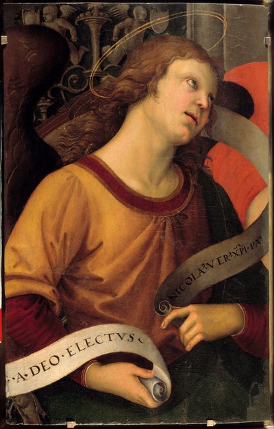 Un ángel. Fragmento del retablo de Baronci de Raphael