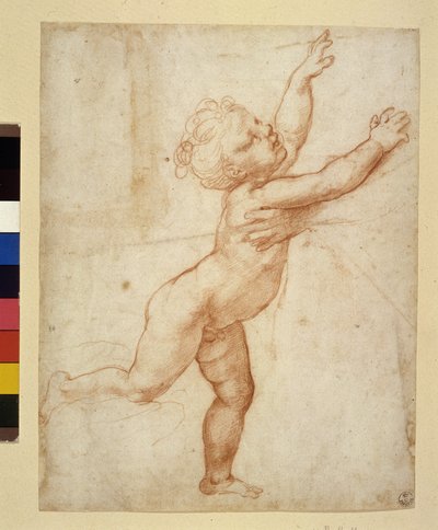 Estudio de niño de Raphael