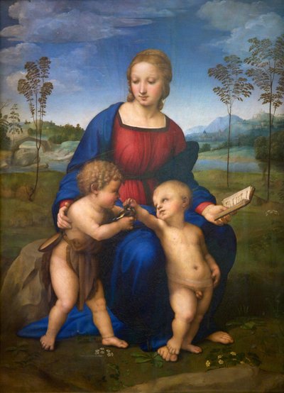 Virgen del Jilguero (Madonna del Cardellino) c.1505-06 (óleo sobre lienzo) (post restauración) de Raphael (1483 1520)