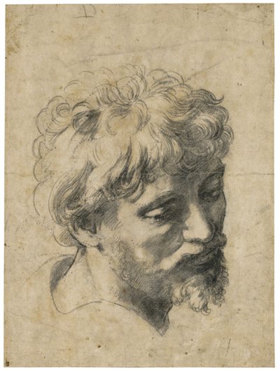 "Retrato de joven apóstol" (Cabeza de joven apóstol) Carbón sobre papel de Rafael (Raffaello Sanzio) (1483-1520) Colección privada de Raphael