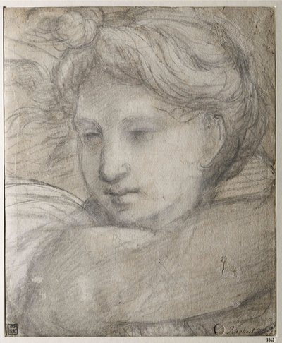 Raffaello Sanzio - Cabeza de un Ángel por Rafael (1483-1520), c. 1520 - Tiza negra y blanca sobre papel, 30,8x25,4 - Szepmuveszeti Muzeum, Budapest de Raphael