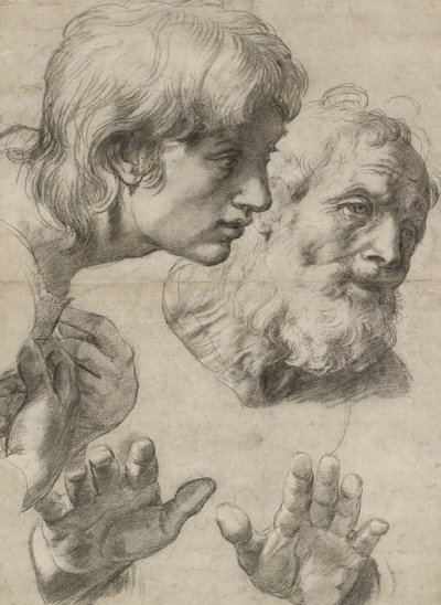 Estudios de las cabezas de dos apóstoles y de sus manos de Raphael