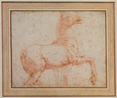 Estudio de uno de los caballos de mármol del Quirinal de Raphael