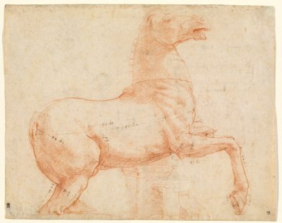 Un caballo de mármol en la colina Quirinal de Raphael