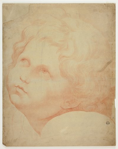 Cabeza de niño, mirando hacia arriba de Raphael