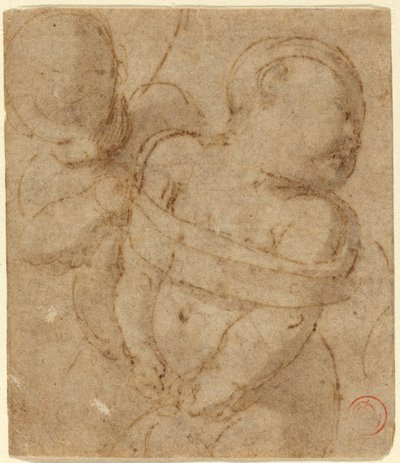 Cupido Atado de Raphael