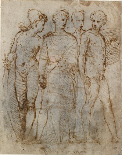 Grupo de guerreros Donatello