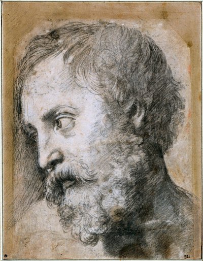 Cabeza de un Apóstol Estudio para la Transfiguración, 1519-1520 de Raffaello Sanzio Raphael