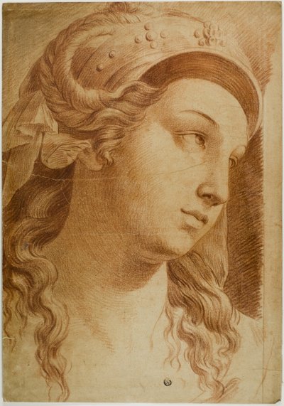 Cabeza de Comity de Raphael