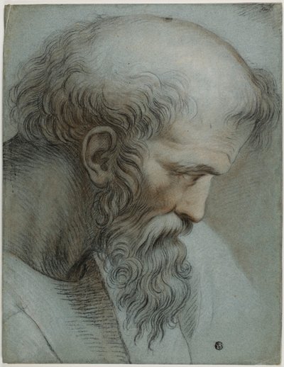 Cabeza de Pitágoras de Raphael