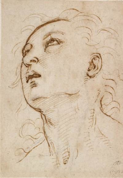 Cabeza de un joven mirando hacia arriba de Raphael