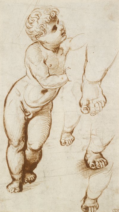 Recto: El Niño Jesús y otros estudios, 1500-1520 de Raphael