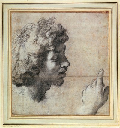 Estudios de la Cabeza y Mano de un Hombre de Raphael