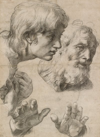 Estudios de las cabezas de dos apóstoles y de sus manos, siglo XVI de Raphael