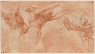 Estudio para los dioses celebrando la boda de Psique y Cupido, 1518-1519 de Raphael