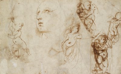 Varios estudios, principalmente para la Santa Catalina Borghese-Beckford, principios del siglo XVI de Raphael