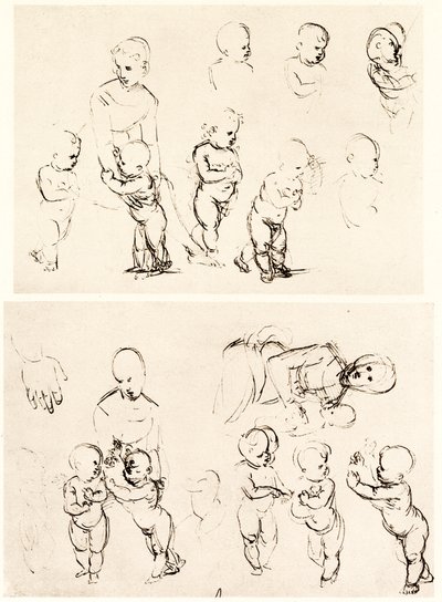 Varios diseños para Madonna en el campo de Raffaello Sanzio Raphael