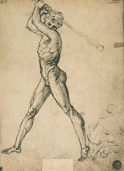 Hércules mata al toro de Raffaello Sanzio Raphael