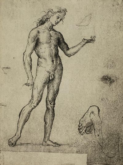 Estudio de desnudo masculino; dibujo de Rafael. Gallerie dell