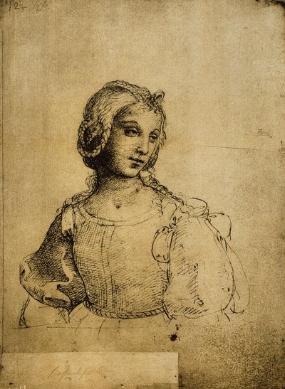 Estudio de una mujer de Raffaello Sanzio Raphael