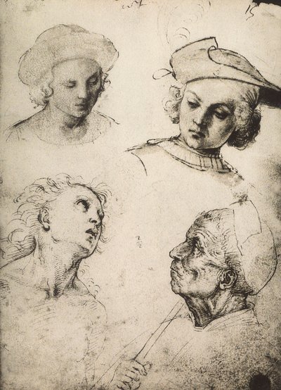 Estudio de cuatro rostros masculinos de Raffaello Sanzio Raphael