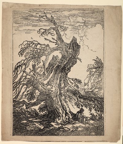 Estudio de un Árbol de Raphael Lamar West