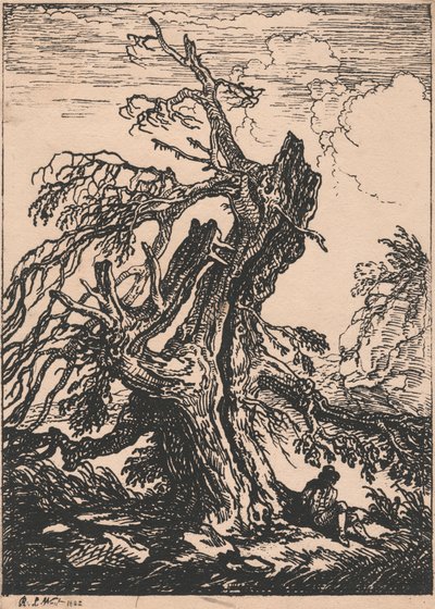 Estudio de un árbol de Raphael Lamar West