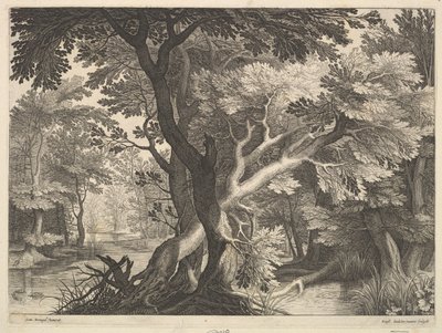 Paisaje boscoso de Raphael Sadeler