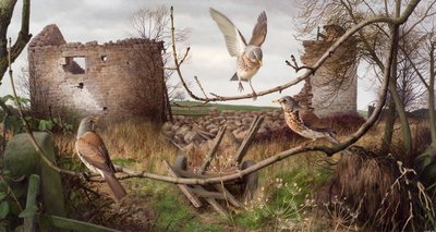Fieldfares en Eccup, West Yorkshire de Raymond Booth
