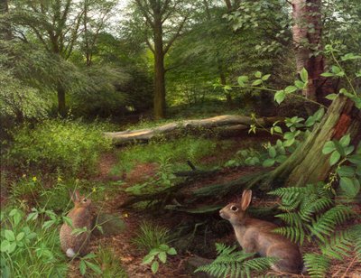 In the woods - a midsummer evening (13) (óleo sobre tabla) de Raymond Booth